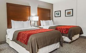 Comfort Inn Denver East